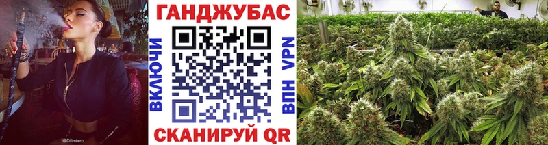 Конопля сатива купить наркотики сайты Кимры